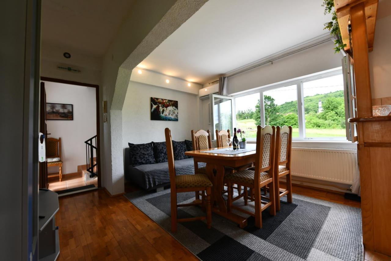 Apartment Marija Zupan Раковица Экстерьер фото