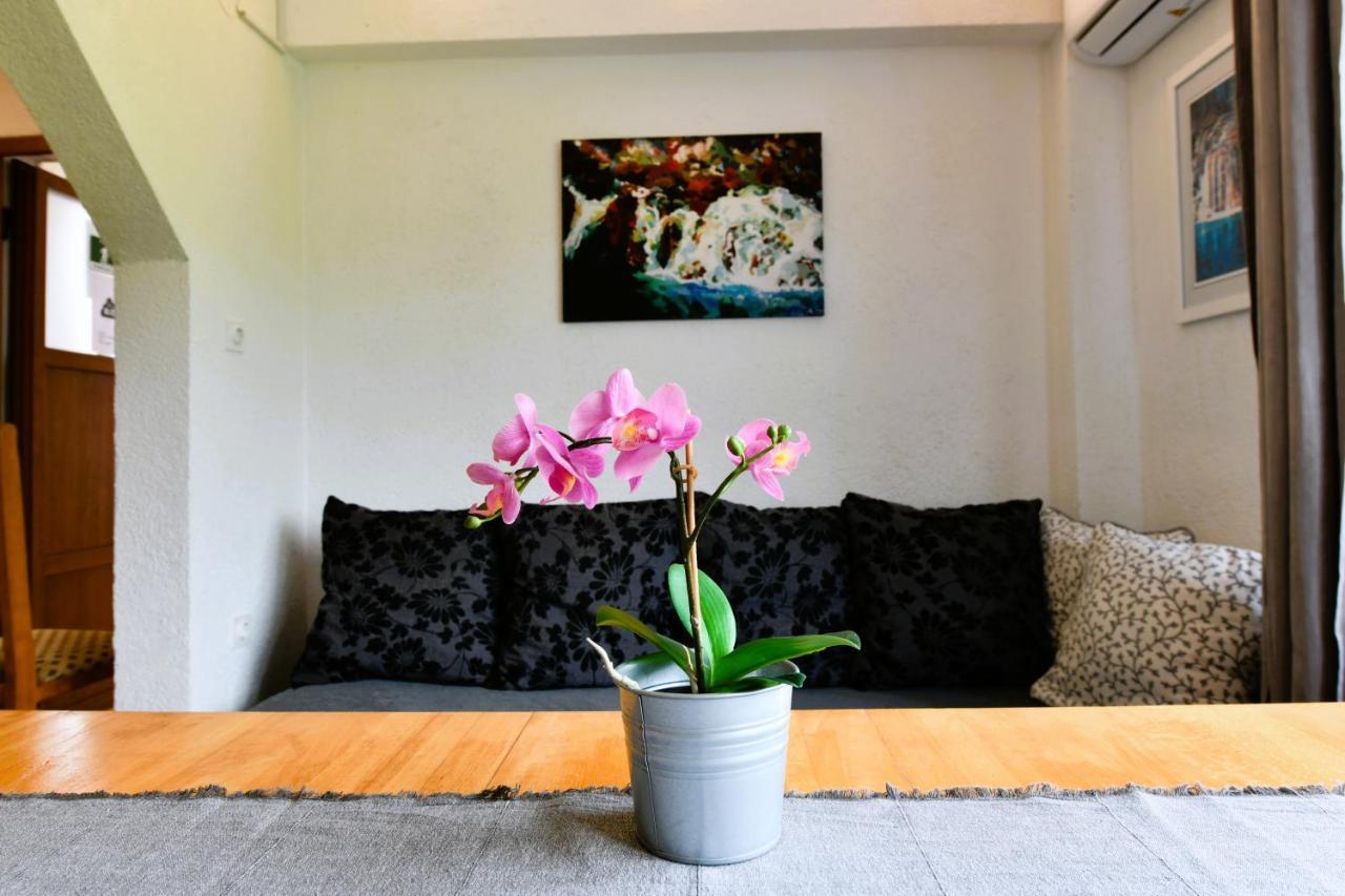 Apartment Marija Zupan Раковица Экстерьер фото